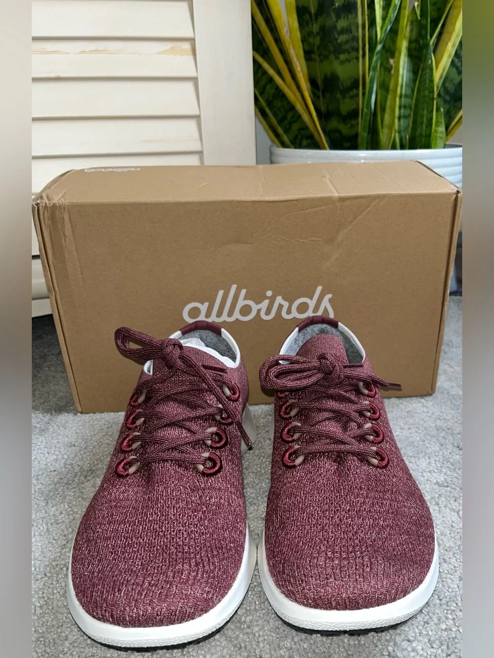 NIB Men’s ALLBIRDS Tree Dasher 2 Size 11.5